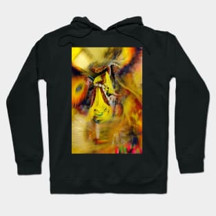 Taken to a Higher Place Hoodie
